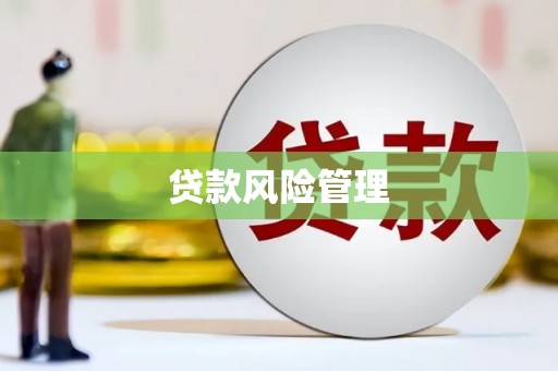 九台贷款风险管理