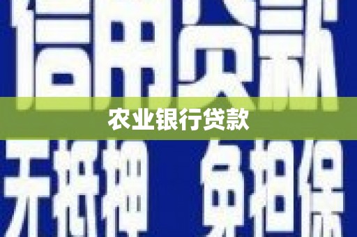 九台农业银行贷款