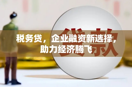 九台税务贷，企业融资新选择，助力经济腾飞