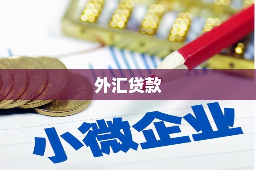 九台外汇贷款