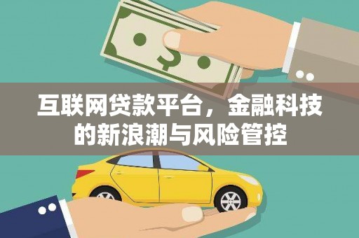 九台互联网贷款平台，金融科技的新浪潮与风险管控