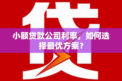九台小额贷款公司利率，如何选择最优方案？