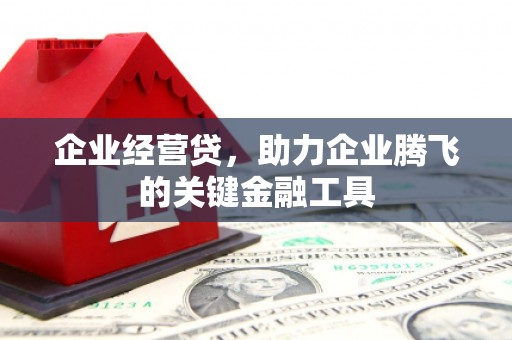 九台企业经营贷，助力企业腾飞的关键金融工具