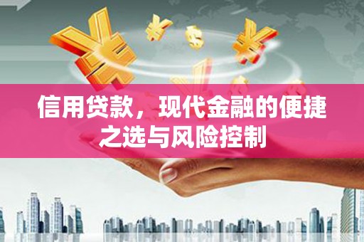 九台信用贷款，现代金融的便捷之选与风险控制