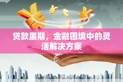 九台贷款展期，金融困境中的灵活解决方案