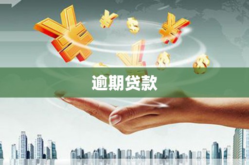 九台逾期贷款