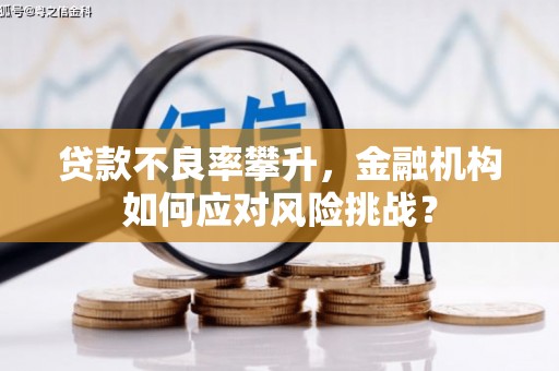 九台贷款不良率攀升，金融机构如何应对风险挑战？