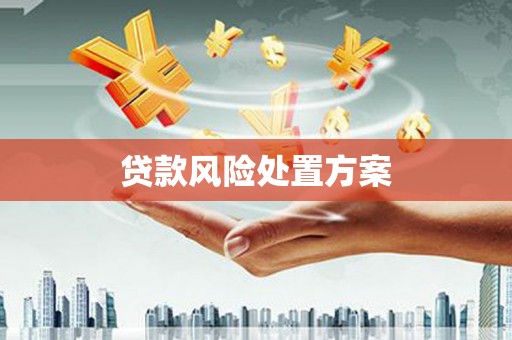 九台贷款风险处置方案