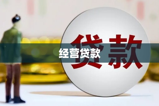 九台经营贷款