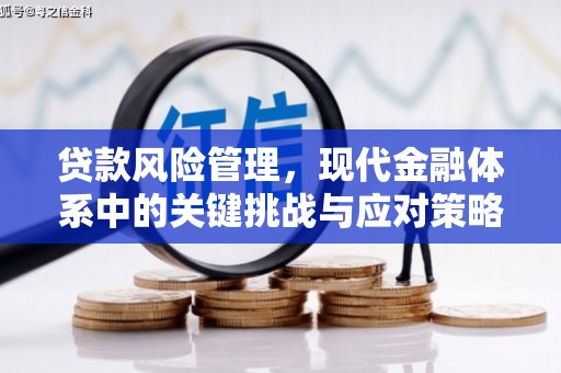 九台贷款风险管理，现代金融体系中的关键挑战与应对策略