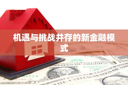 九台机遇与挑战并存的新金融模式