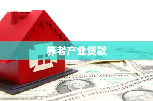 九台养老产业贷款