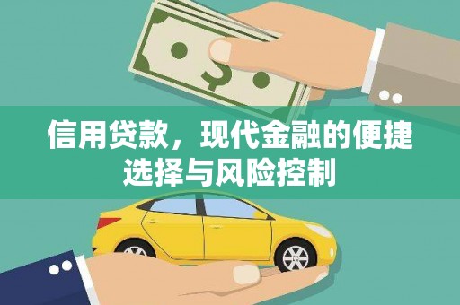 九台信用贷款，现代金融的便捷选择与风险控制