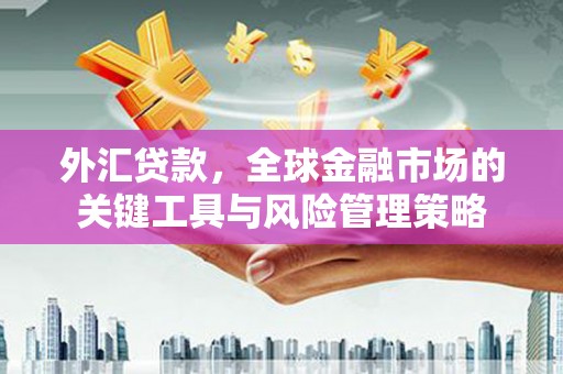九台外汇贷款，全球金融市场的关键工具与风险管理策略