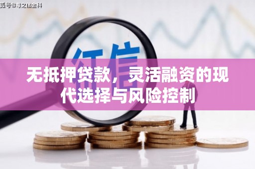 九台无抵押贷款，灵活融资的现代选择与风险控制