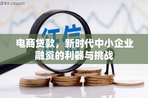 九台电商贷款，新时代中小企业融资的利器与挑战