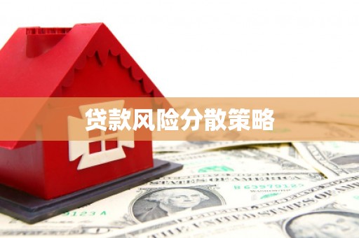 九台贷款风险分散策略