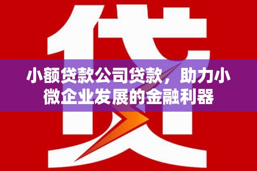 九台小额贷款公司贷款，助力小微企业发展的金融利器