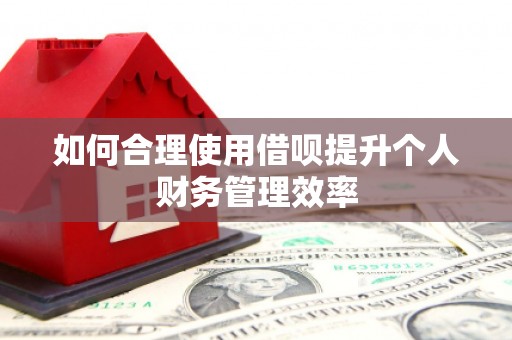 九台如何合理使用借呗提升个人财务管理效率