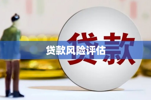九台贷款风险评估