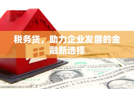 九台税务贷，助力企业发展的金融新选择