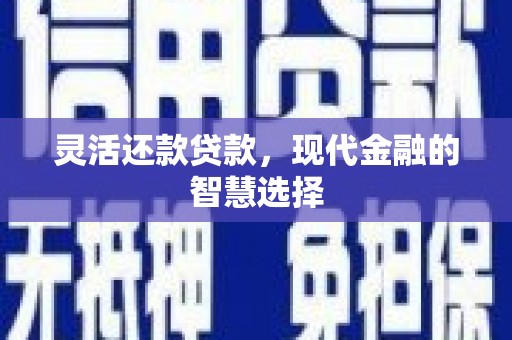 九台灵活还款贷款，现代金融的智慧选择