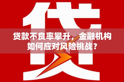 九台贷款不良率攀升，金融机构如何应对风险挑战？
