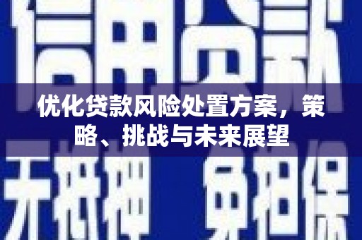 九台优化贷款风险处置方案，策略、挑战与未来展望