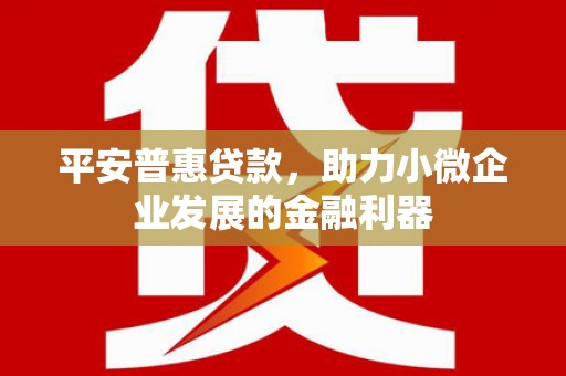 九台平安普惠贷款，助力小微企业发展的金融利器