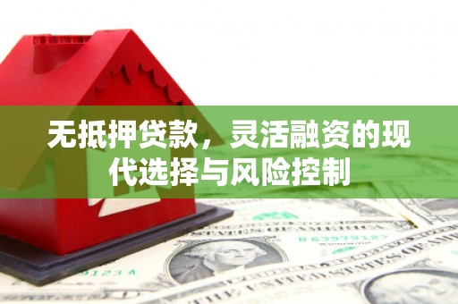 九台无抵押贷款，灵活融资的现代选择与风险控制