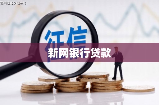 九台新网银行贷款