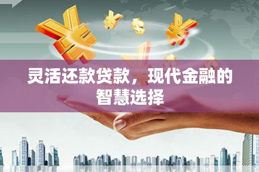 九台灵活还款贷款，现代金融的智慧选择