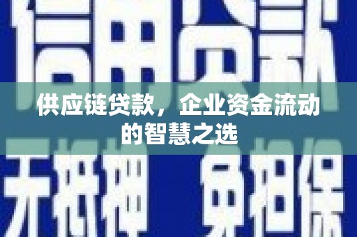 九台供应链贷款，企业资金流动的智慧之选