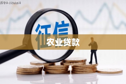 九台农业贷款
