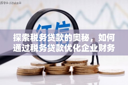 九台探索税务贷款的奥秘，如何通过税务贷款优化企业财务