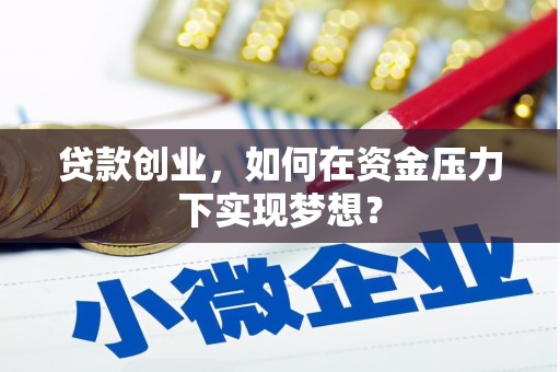 九台贷款创业，如何在资金压力下实现梦想？