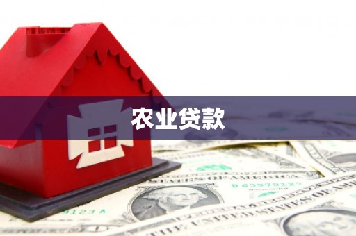 九台农业贷款