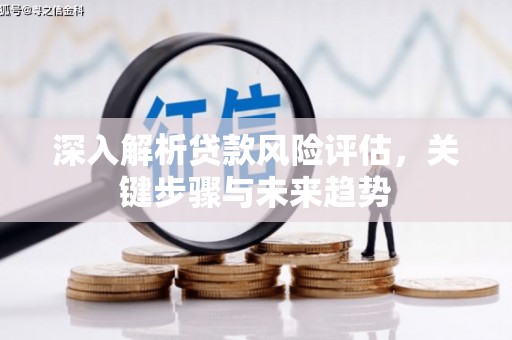 九台深入解析贷款风险评估，关键步骤与未来趋势