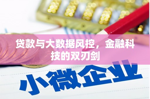 九台贷款与大数据风控，金融科技的双刃剑