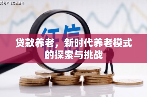 九台贷款养老，新时代养老模式的探索与挑战