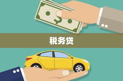 九台税务贷
