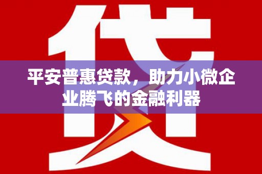 九台平安普惠贷款，助力小微企业腾飞的金融利器