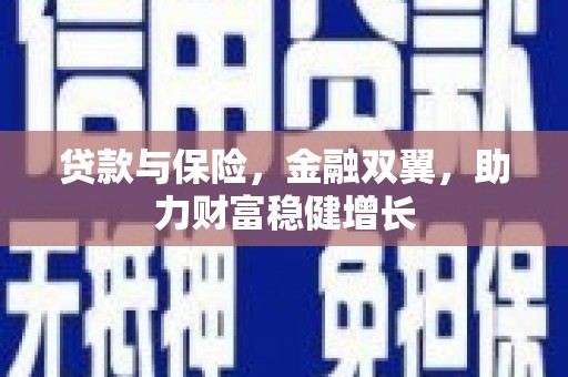 九台贷款与保险，金融双翼，助力财富稳健增长