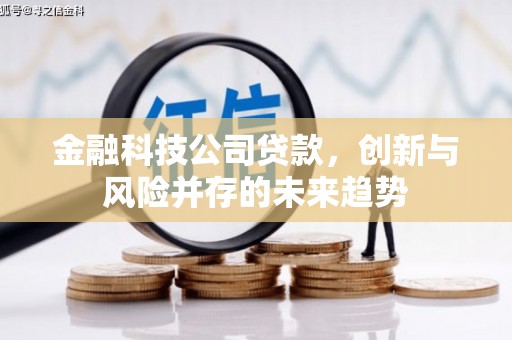九台金融科技公司贷款，创新与风险并存的未来趋势