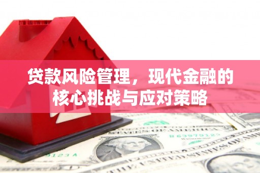 九台贷款风险管理，现代金融的核心挑战与应对策略