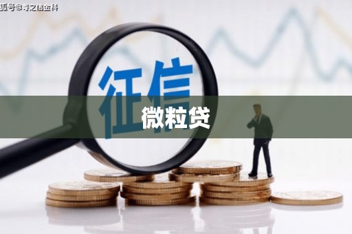九台微粒贷