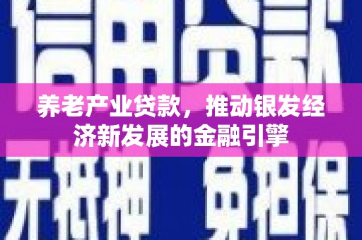 九台养老产业贷款，推动银发经济新发展的金融引擎