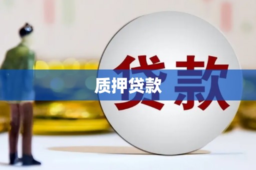 九台质押贷款