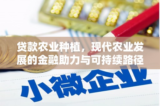 九台贷款农业种植，现代农业发展的金融助力与可持续路径