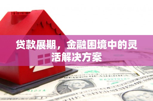九台贷款展期，金融困境中的灵活解决方案